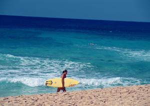 プロが選んだトランポリンを探すなら